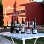 Exclusive Bolgheri from Florence: The Land of the Super Tuscan - The Real Experience: Authenticity & Comfort