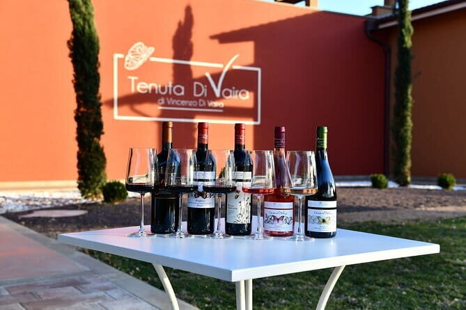 Exclusive Bolgheri from Florence: The Land of the Super Tuscan - The Real Experience: Authenticity & Comfort