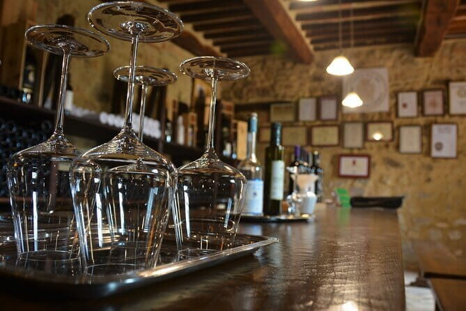 Exclusive Brunello di Montalcino tour from Florence - First Stop: Franco Pacenti — A Family-Run Winery