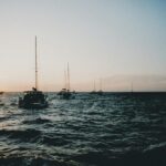 Exclusive Catamaran Sailing Adventure, BBQ & drinks on board - What Makes This Tour Stand Out?