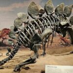 Exclusive Drumheller Private Tour from Calgary - Authentic Traveler Insights