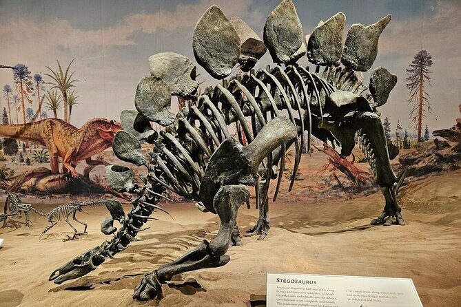 Exclusive Drumheller Private Tour from Calgary - Authentic Traveler Insights