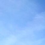 Exclusive full day guided tour - West Cornwall - Why This Tour Offers Real Value