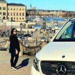 Exclusive Grand Stockholm Tour Vasa & Skansen***** - Exploring Stockholm through a Private Lens