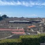 Exclusive Half-Day Tour in Pompeii with skip the line tickets - Exploring Pompeii in Depth: What to Expect from This Tour