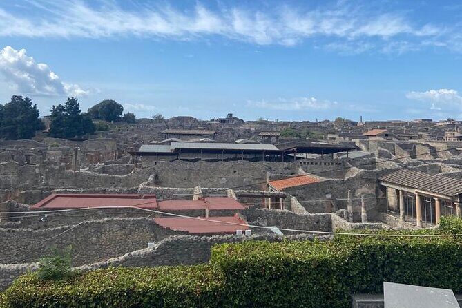 Exclusive Half-Day Tour in Pompeii with skip the line tickets - Exploring Pompeii in Depth: What to Expect from This Tour