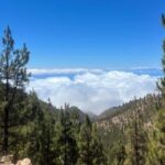 Exclusive hike on Mount Teide with a certified guide - Why This Tour Is a Solid Choice