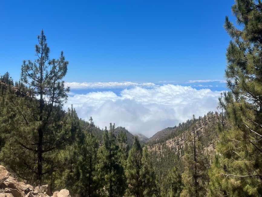 Exclusive hike on Mount Teide with a certified guide - Why This Tour Is a Solid Choice