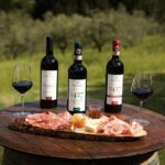 Exclusive Lunch Tour and Wine tasting at a Chianti Classic Winery - An In-Depth Look at the Panzanello Winery Experience
