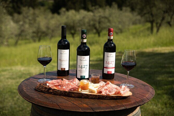 Exclusive Lunch Tour and Wine tasting at a Chianti Classic Winery - An In-Depth Look at the Panzanello Winery Experience