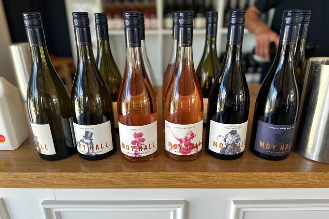 Exclusive Martinborough Wine Tour - Who Should Consider This Tour?