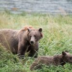 Exclusive Photography Tour Haines Departure - The Cost and Its Value
