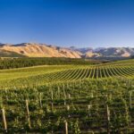 Exclusive Picton Wine & Scenic Adventure: VIP Cruise Experience - Frequently Asked Questions