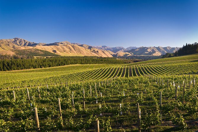 Exclusive Picton Wine & Scenic Adventure: VIP Cruise Experience - Frequently Asked Questions