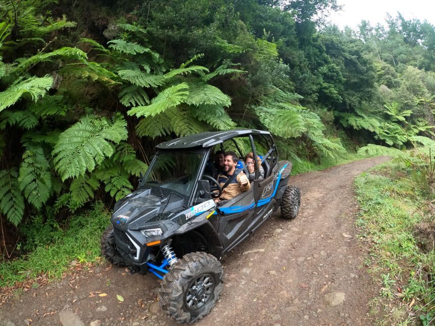 Exclusive Private Buggy Adventure: Forest and Mountains - Who Will Love This Experience?