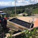 Exclusive Private Tuscany Wine Tour & Food Pairing Session - Why This Tour Offers Real Value