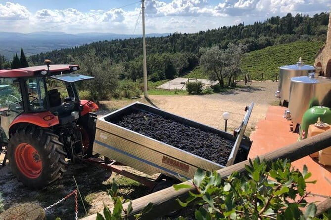 Exclusive Private Tuscany Wine Tour & Food Pairing Session - Why This Tour Offers Real Value