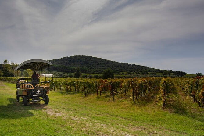 Exclusive Suvereto tour from Florence: Land of Elisa Bonaparte - Why This Tour Delivers Great Value