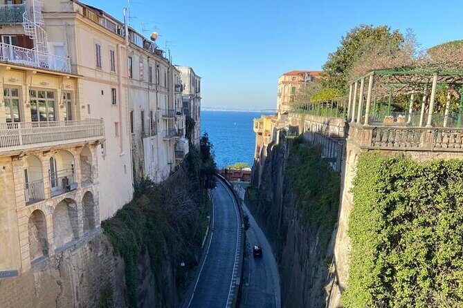 Exclusive tour in Sorrento and Pompeii with transport and tickets - Authentic Traveler Feedback