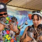 Exclusive Tour in Teotihuacan, Breakfast in the Cave and CDMX pick-up - Why This Tour Offers Great Value