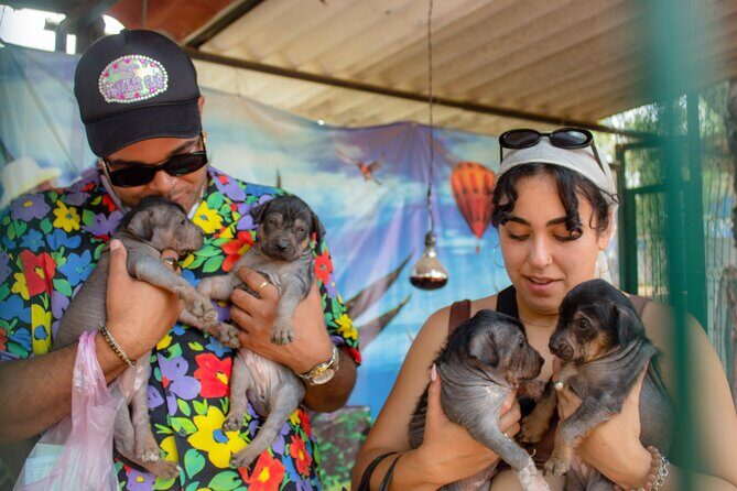 Exclusive Tour in Teotihuacan, Breakfast in the Cave and CDMX pick-up - Why This Tour Offers Great Value