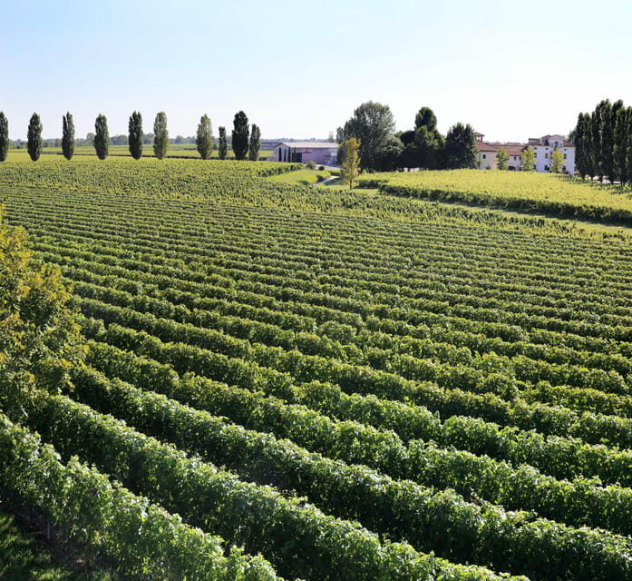 Exclusive Wine Experience: Venetian Best Vineyards - Final Thoughts