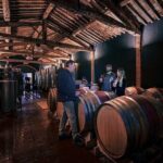 Exclusive Wine Tour and Tasting Experience in Siena - Price and Value: Is It Worth It?