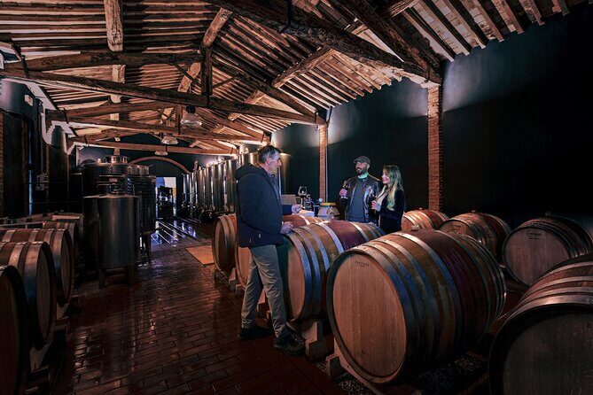 Exclusive Wine Tour and Tasting Experience in Siena - Price and Value: Is It Worth It?