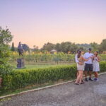 Exclusive Winery Tour with Tasting and Dinner in Chianti vineyard - A Deep Dive into the Chianti Winery Tour