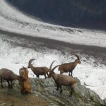 Exclusive Zermatt and Matterhorn: Small Group Tour from Bern - Why This Tour Offers Great Value