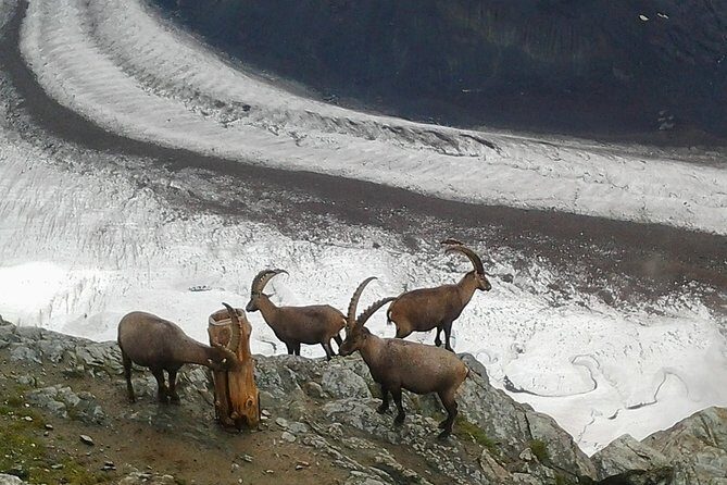 Exclusive Zermatt and Matterhorn: Small Group Tour from Bern - Why This Tour Offers Great Value