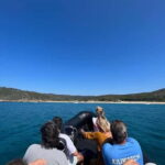 Excursion bateau - A Detailed Look at the Tour