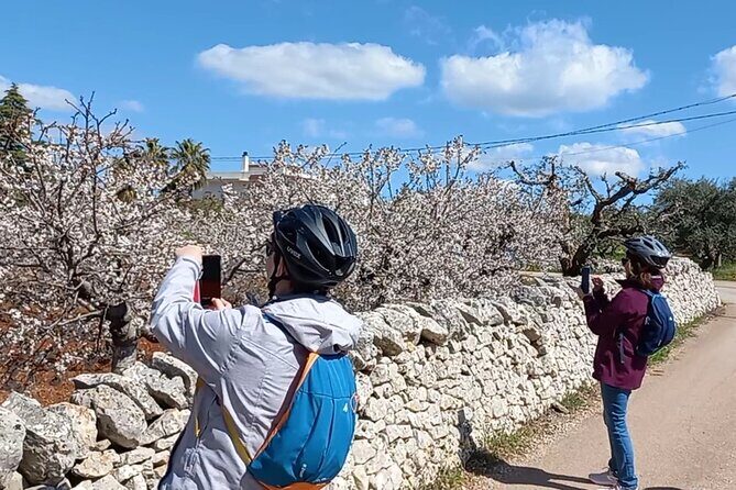 Excursion Electric Bike Villages of Apulia - Final Thoughts