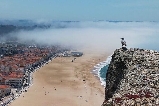 Excursion from Lisbon to Fátima Grutas Nazaré and Óbidos - Transportation and Group Size