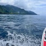 Excursion to discover the authentic Tahiti Peninsula 4:00 - Final Thoughts: Is It Worth It?