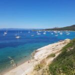 Excursion to Porquerolles Island from Bandol - A Deep Dive into the Excursion Experience