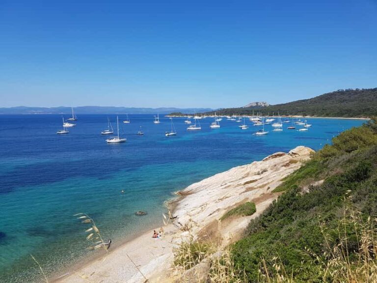 Excursion to Porquerolles Island from Bandol - A Deep Dive into the Excursion Experience