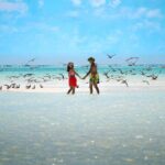 Excursion to Tetiaroa by Catamaran Visit Lunch Snorkeling - FAQs