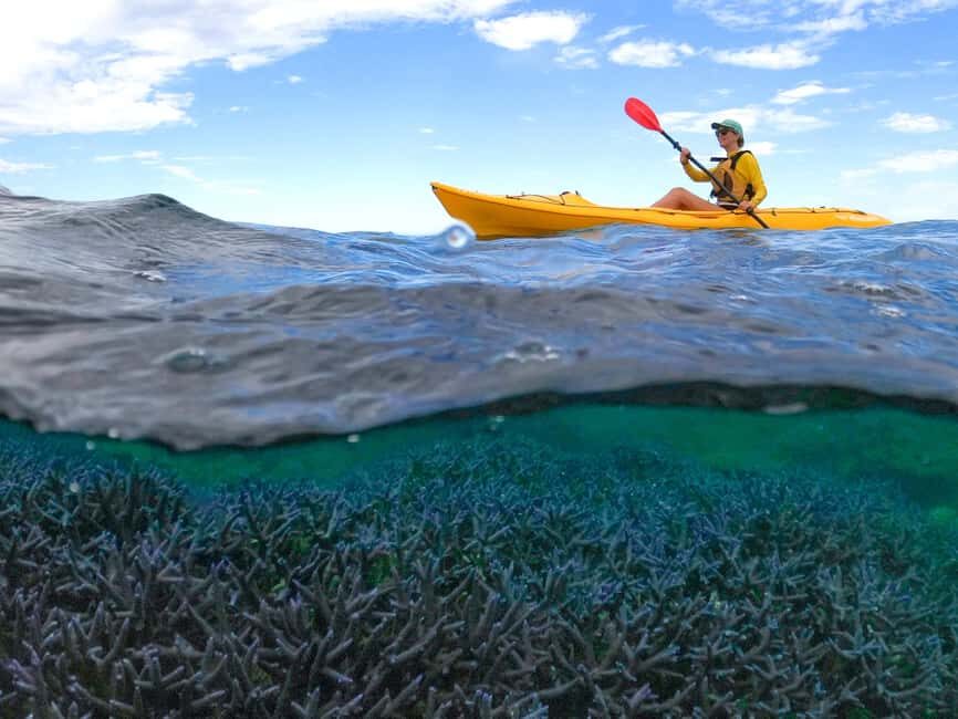 Exmouth: Half Day Coral by Kayak tour - The Value of This Adventure