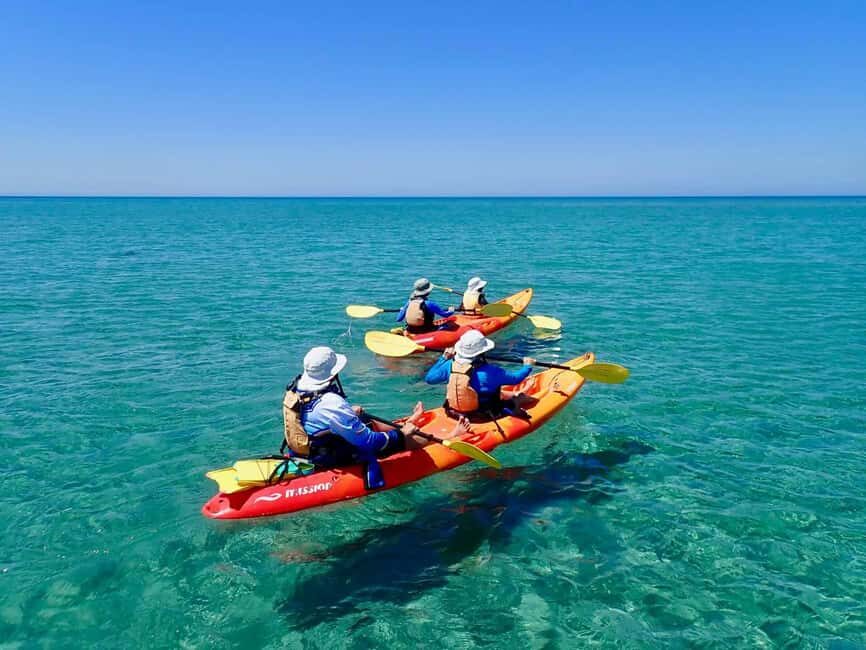 Exmouth: Half Day Turtle Kayak & Snorkel Tour - The Value and Practicalities