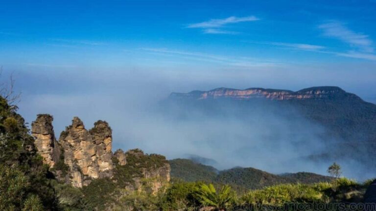 Exmouth Highlights Excursion - A Detailed Look at What to Expect