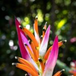 Exotic Garden EN Rancho Ecoturístico - What Travelers Say