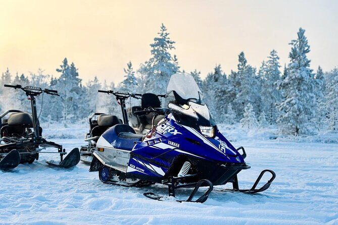 Expedition "INTO THE WILD" Safari and Lunch in Glass Igloo - A Deeper Look at This Lapland Adventure