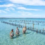 Experience Coffin Bay Oyster Farm and Bay Tour - Authenticity and Value