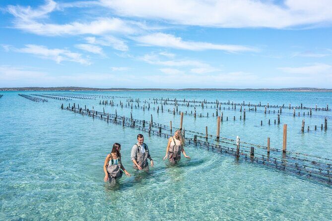 Experience Coffin Bay Oyster Farm and Bay Tour - Authenticity and Value