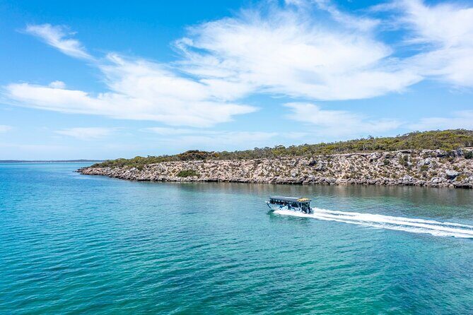 Experience Coffin Bay Short and Sweet Oyster Farm Tour - A Closer Look at the Experience: What You Can Expect