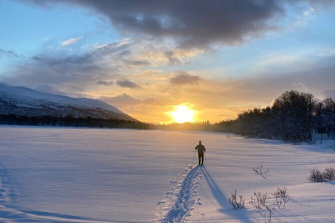 Experience Cross-Country Adventure in Tromsø - In-Depth Review: Cross-Country Skiing in Tromsø