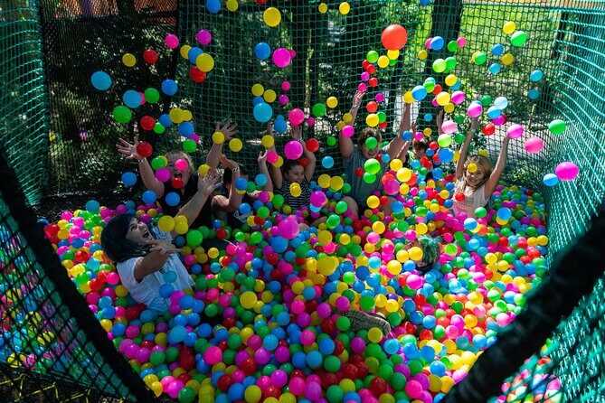Experience Ourimbah State Forest Networld Adventure - An In-Depth Look at Ourimbah State Forest Networld Adventure