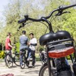 Experience Porto by Bike: 3-Hour Small-Group Tour - Who This Tour Is Perfect For