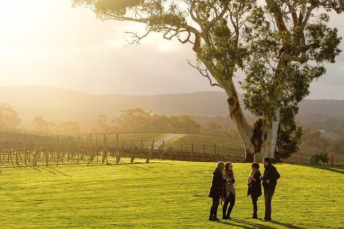 Experience SA Private Barossa Wine Tour- Pickup is in the Barossa - What Makes This Tour Stand Out?